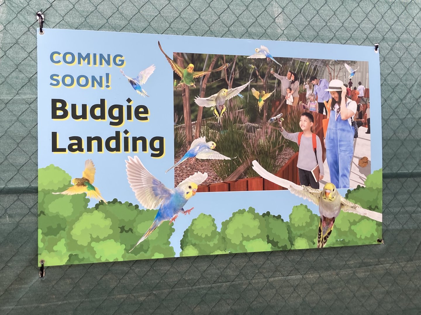 Coming soon: Budgie Landing