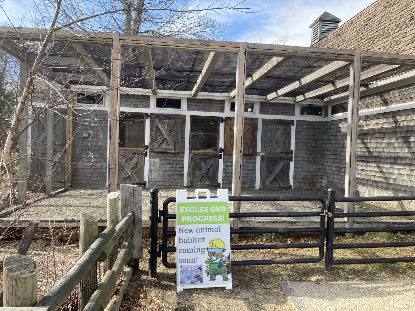 Coming soon: Fennec Fox exhibit