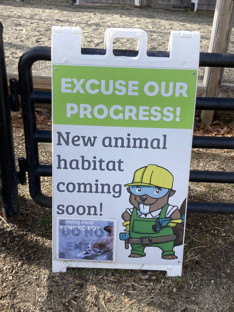 Coming Soon: Fennec Fox Exhibit