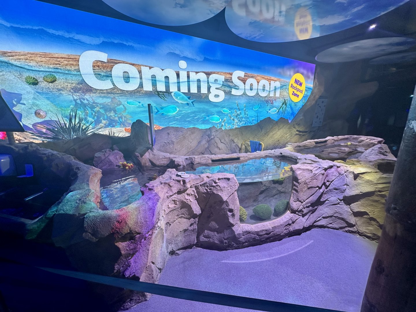 Coming Soon - Rockpool Zone