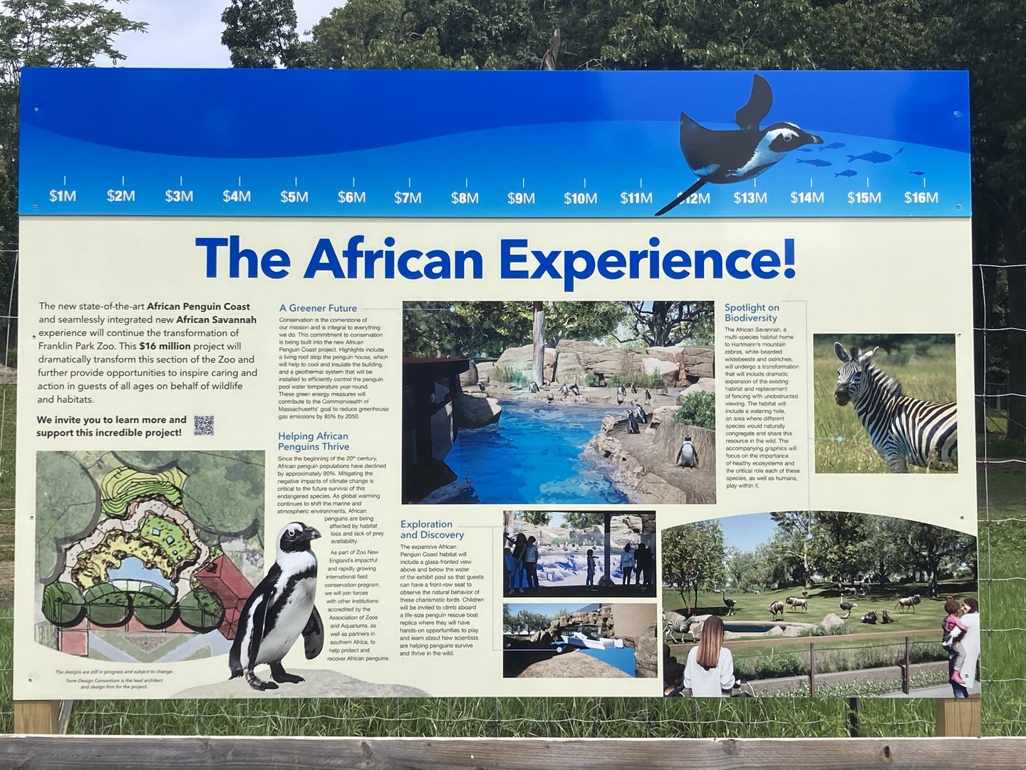 Coming Soon: The African Experience