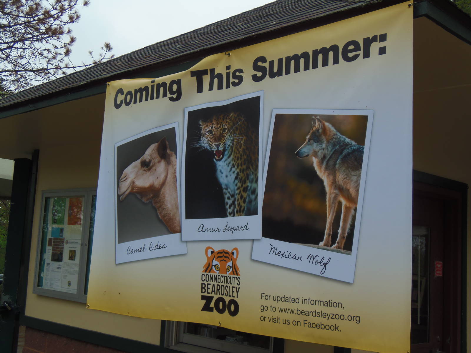 Coming This Summer at the Zoo