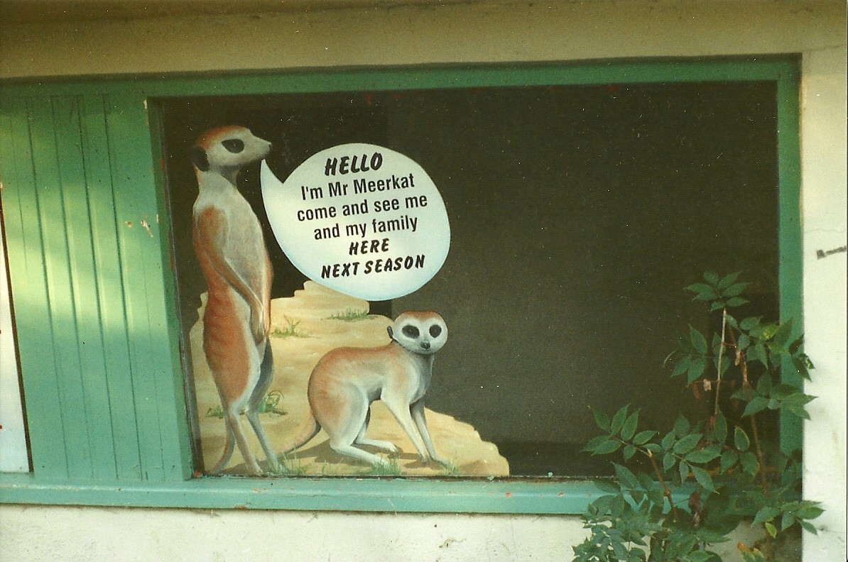 Coming to the redeveloped Cat Cages.... 10th October 1998