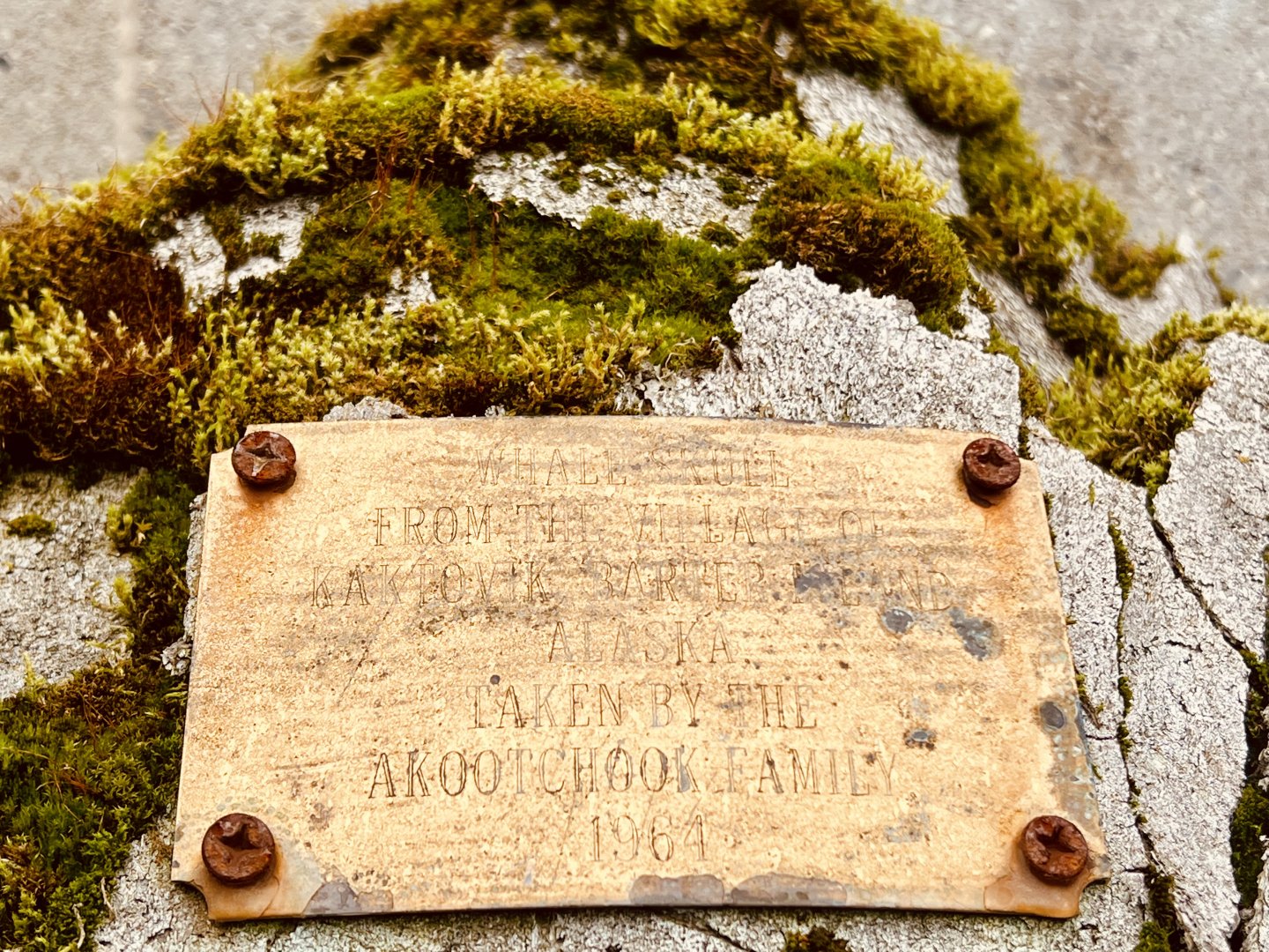 Commemorative plaque on Bowhead Whale Skull-cap