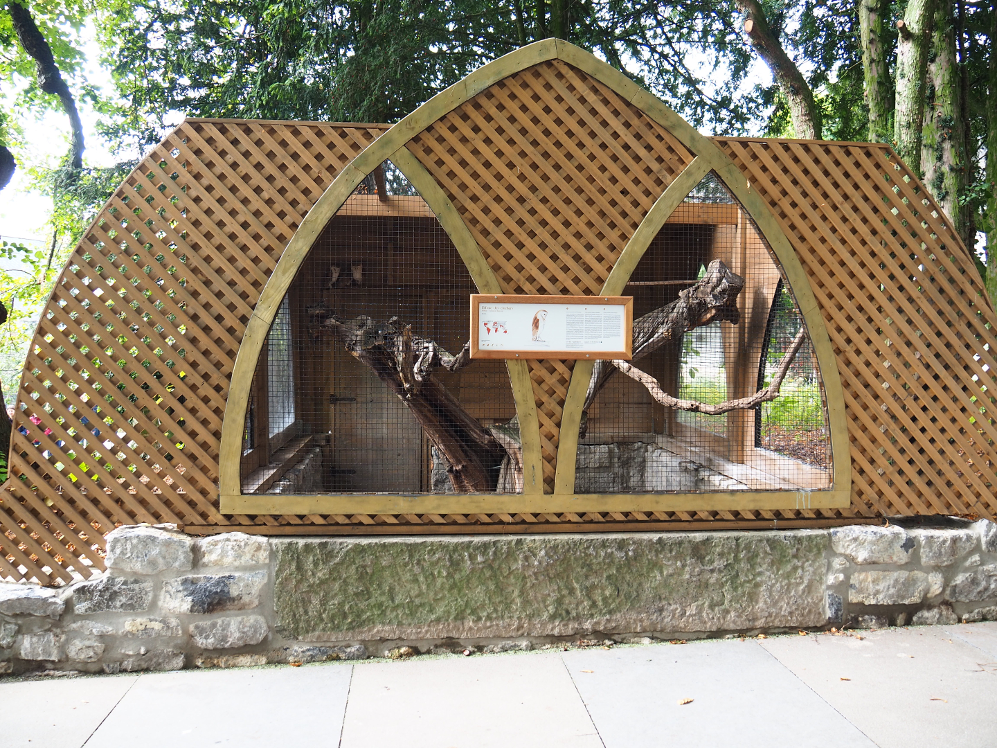 Common barn owl aviary, 2019-10-05