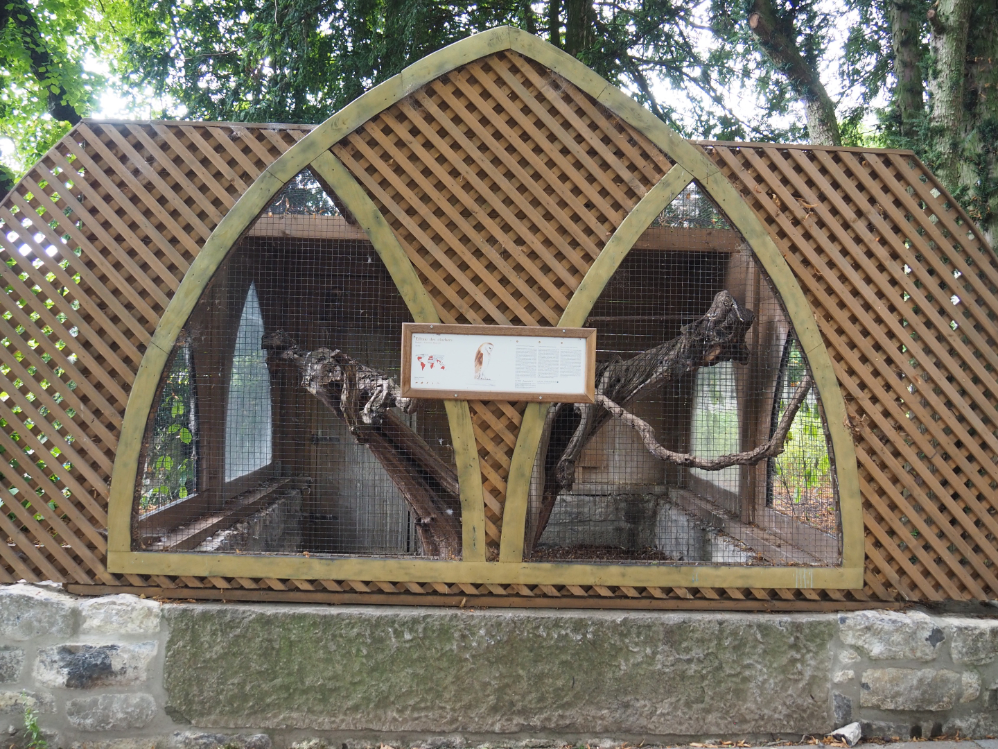 Common barn owl aviary, 2020-09-02