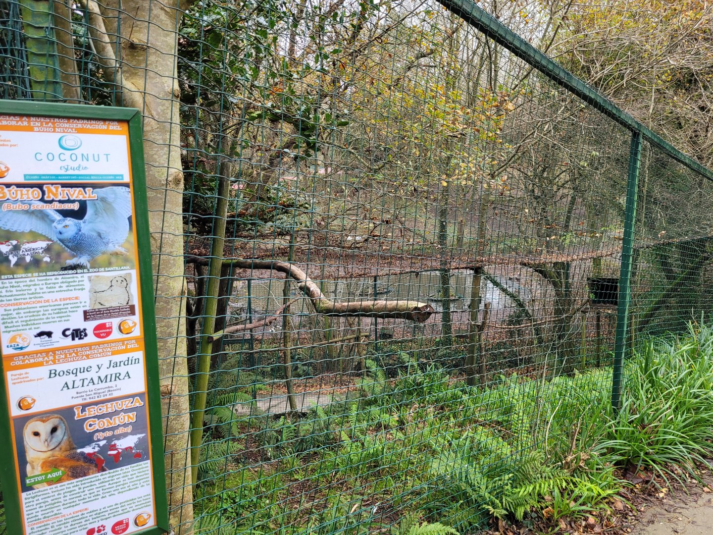 Common barn owl exhibit -Zoo de Santillana del Mar (2023)