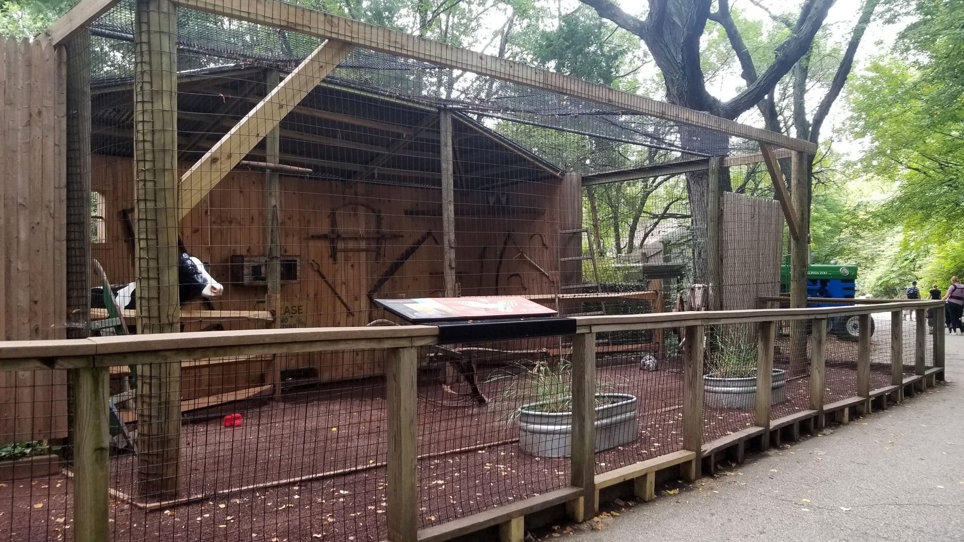 Common Barn Owl exhibit