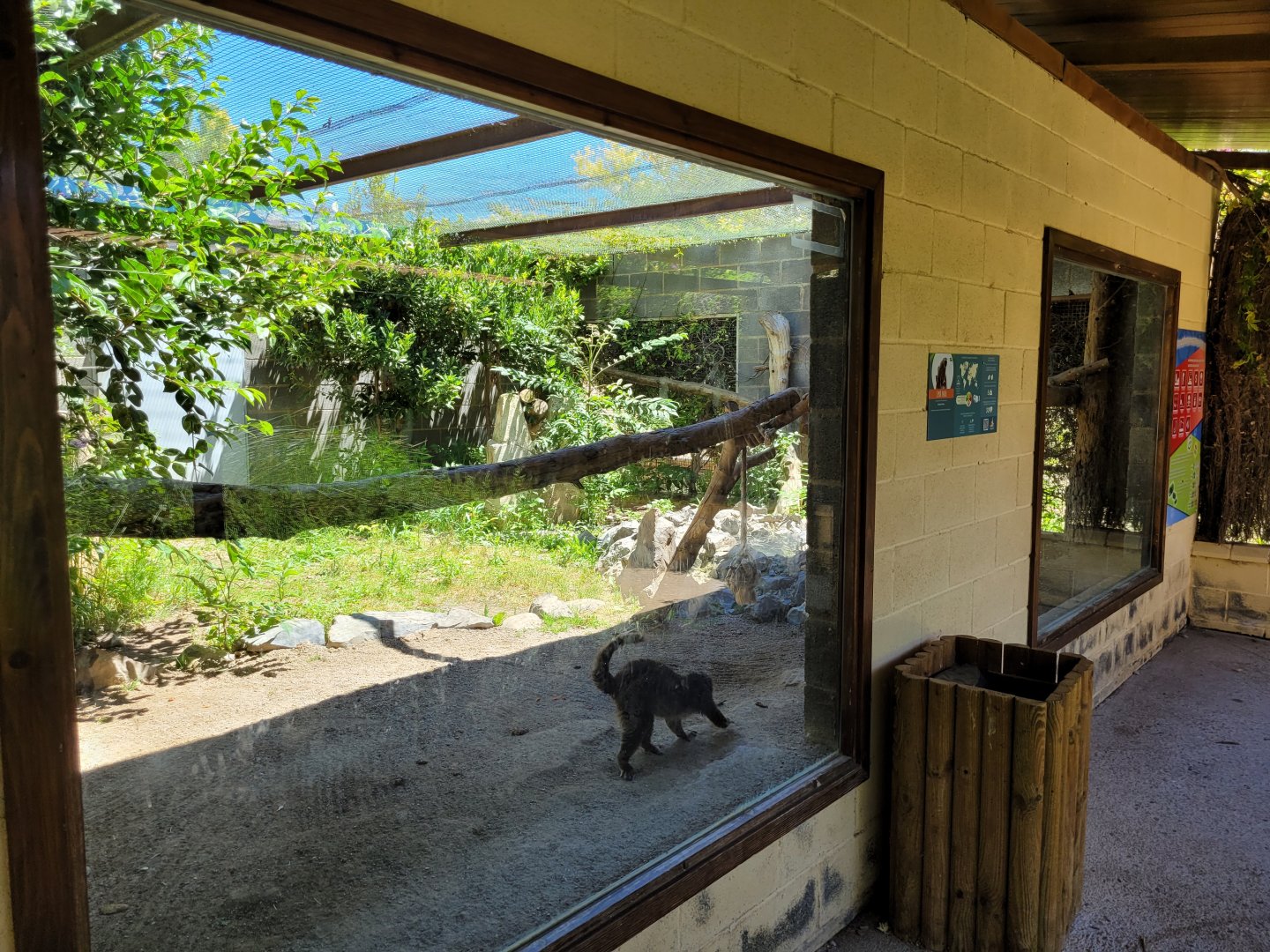 Common brown lemur exhibit -Sendaviva (2024)