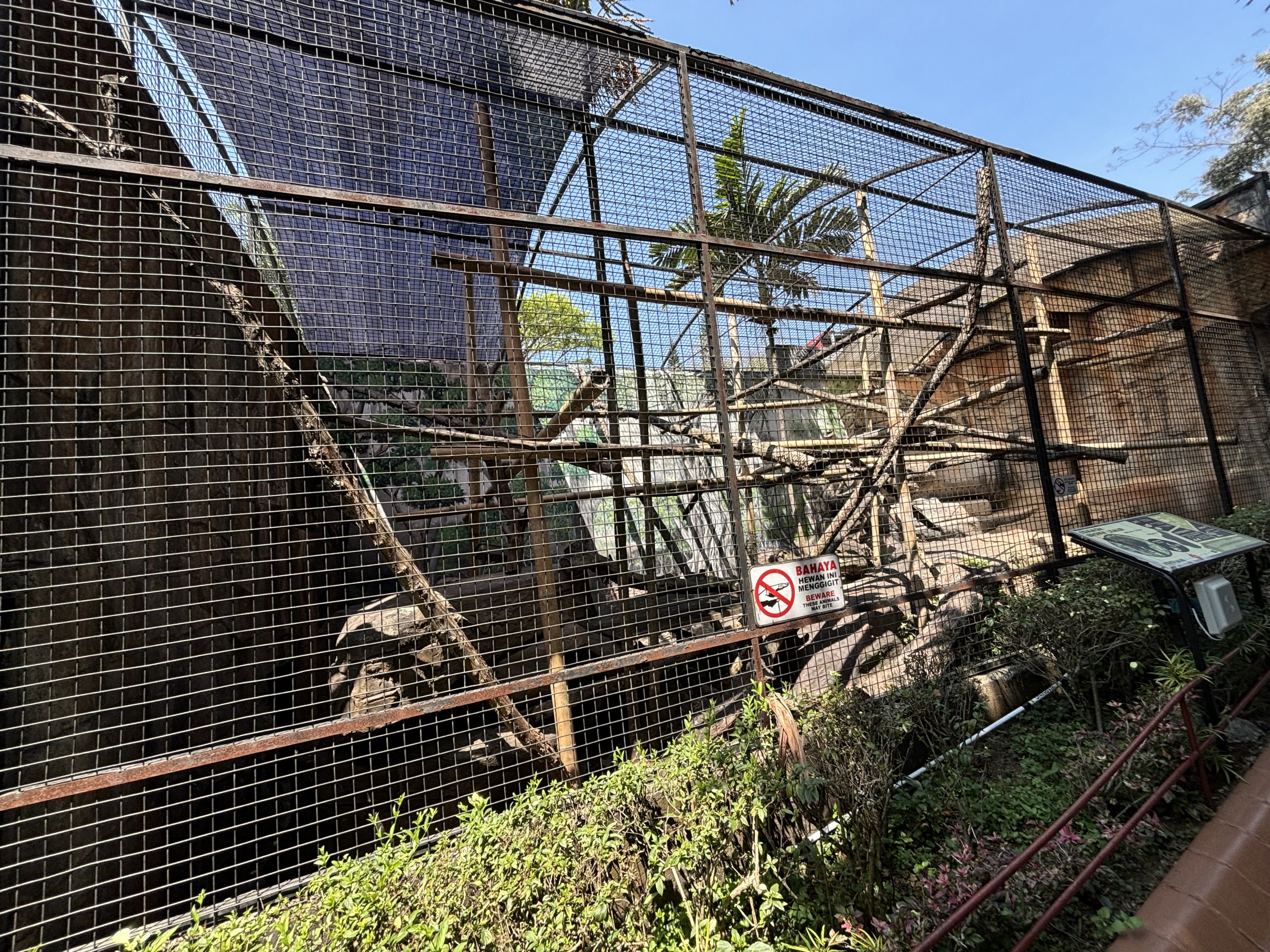 Common Brown Lemur Exhibit