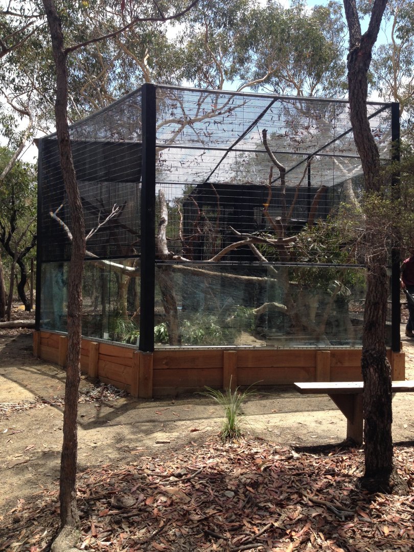 Common Brushtail Possum & Long-nosed Potoroo exhibit