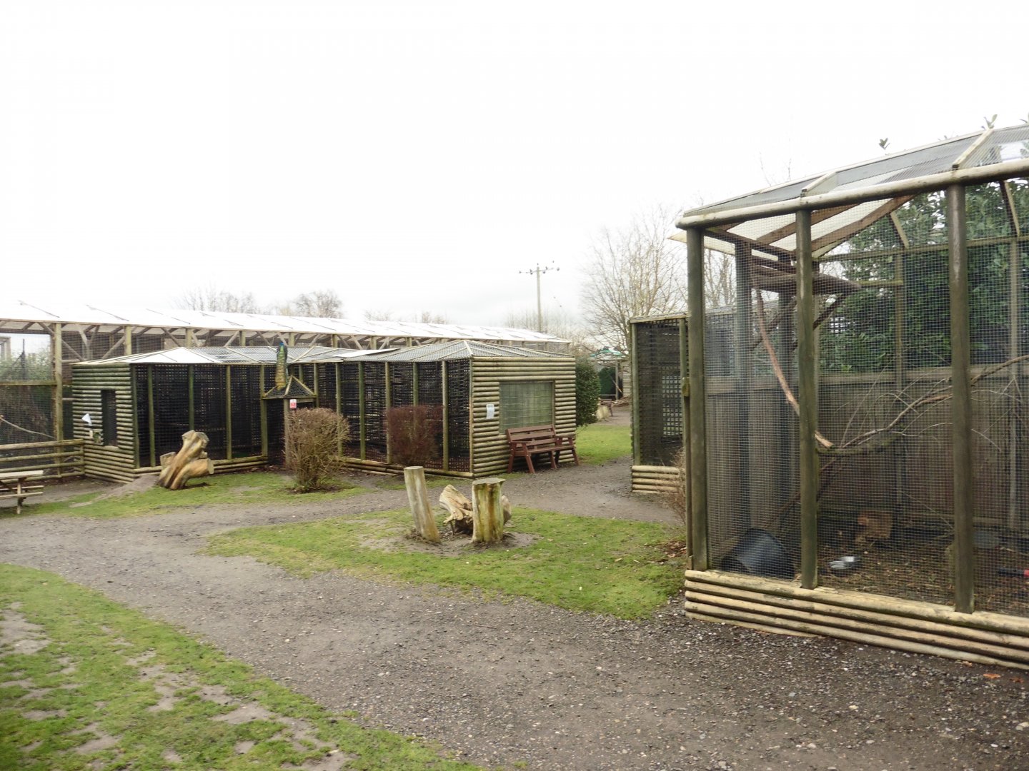 Common Buzzard (l) & Eurasian Eagle Owl (r) 'aviaries'