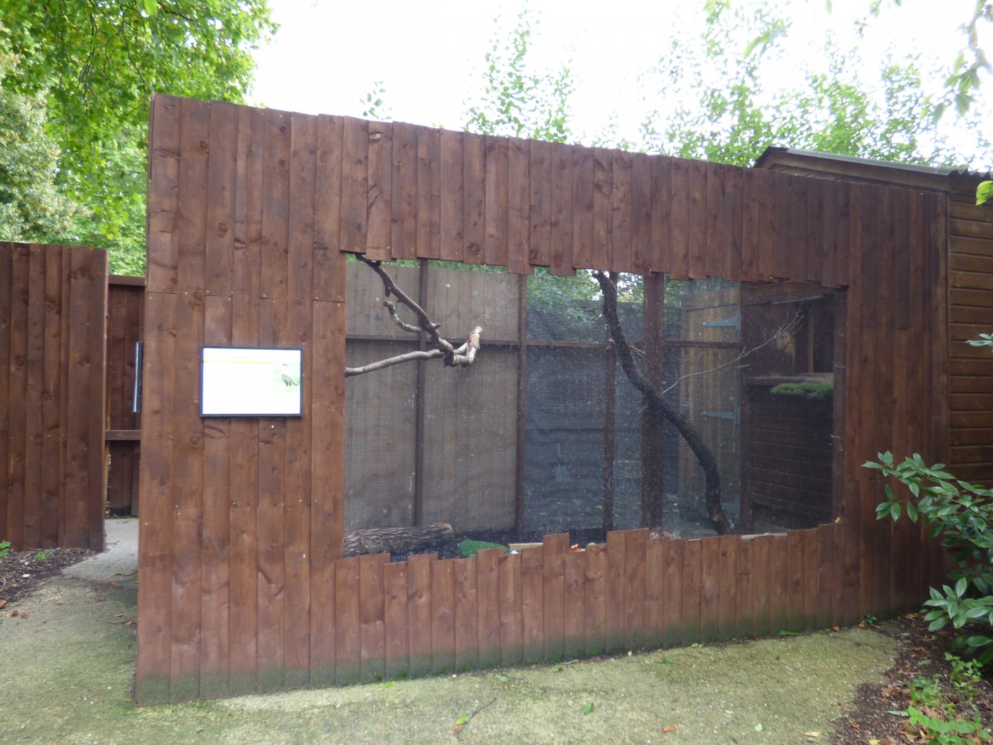 Common Caracara Aviary