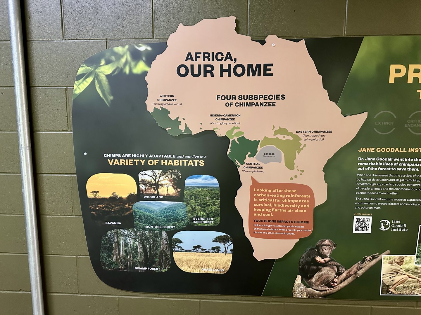 Common Chimpanzee Distribution Signage