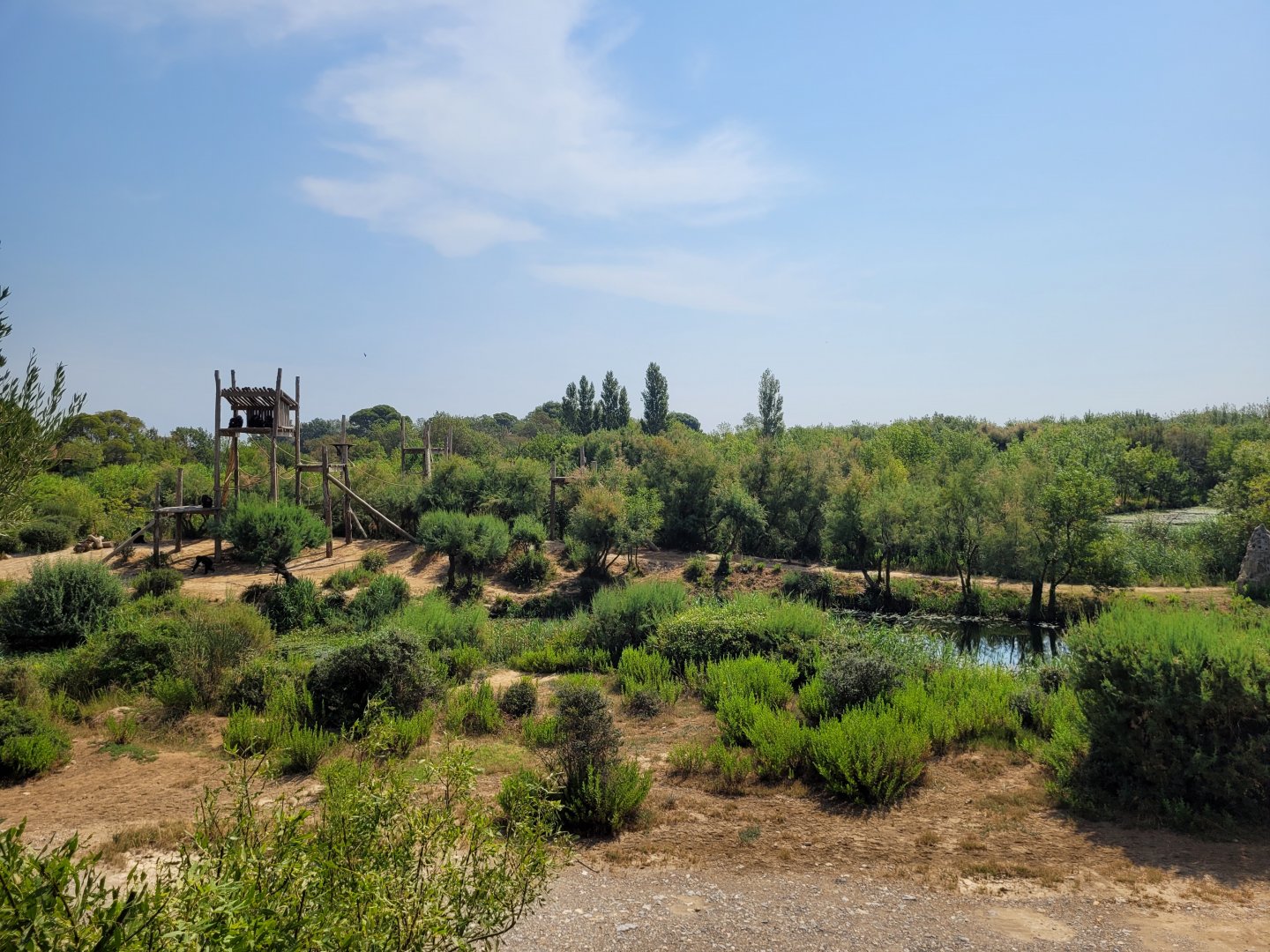 Common chimpanzee exhibit -Réserve Africaine de Sigean (2022)