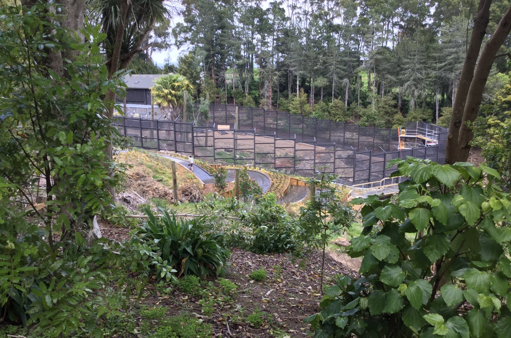 Common Chimpanzee Exhibit (Under Construction)