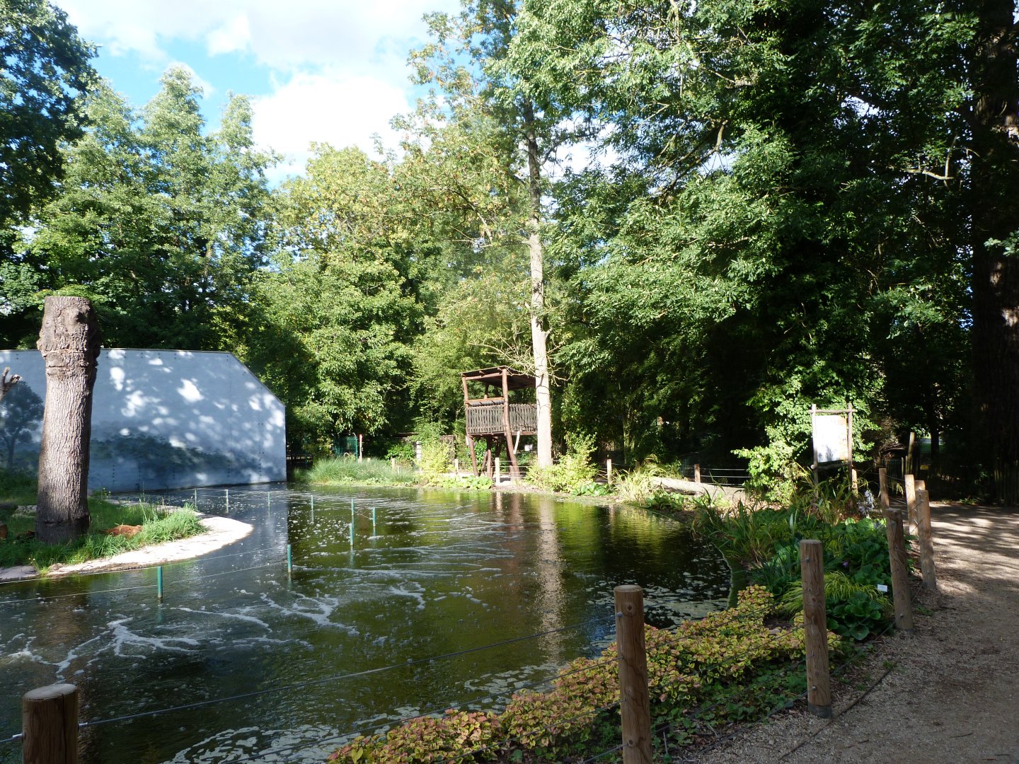 Common chimpanzee exhibit -Zoo Plzeň (2025)