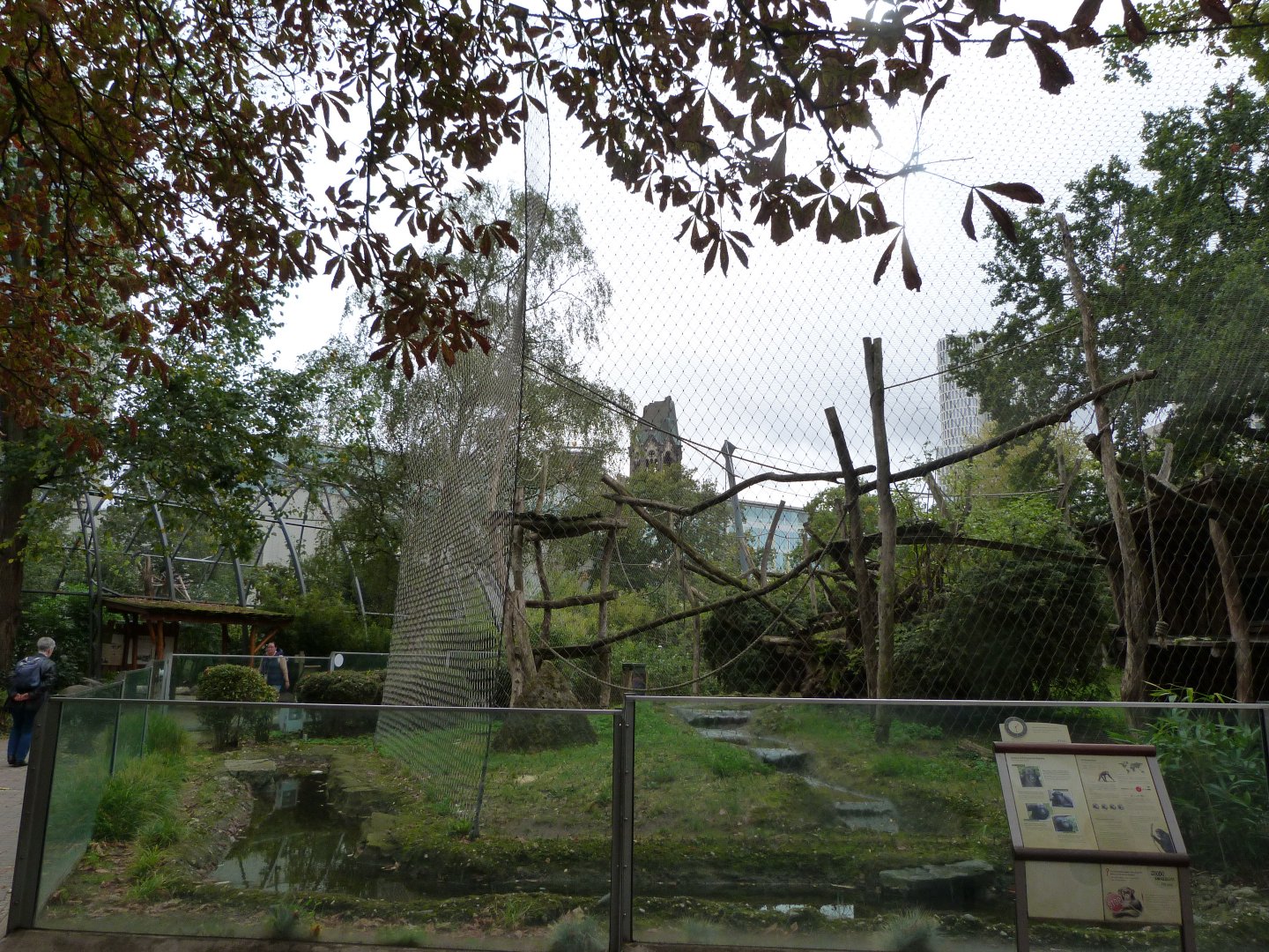 Common chimpanzee exhibit -Zoologischer Garten Berlin (2024)