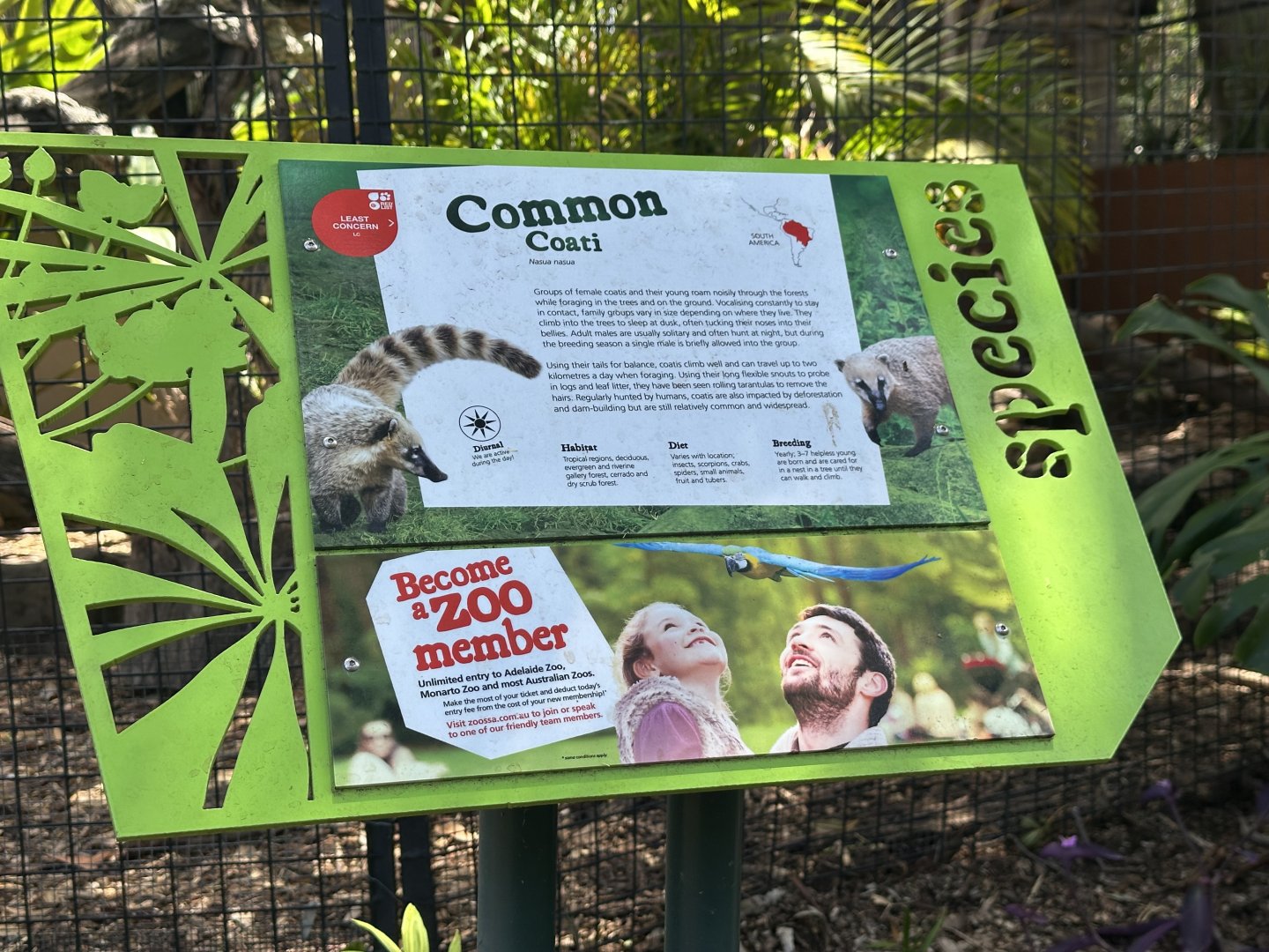 Common coati signage