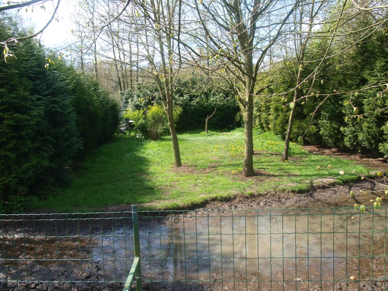 Common crane enclosure (April 19th, 2015)