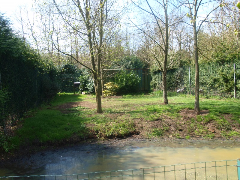 Common crane enclosure (April 19th, 2015)