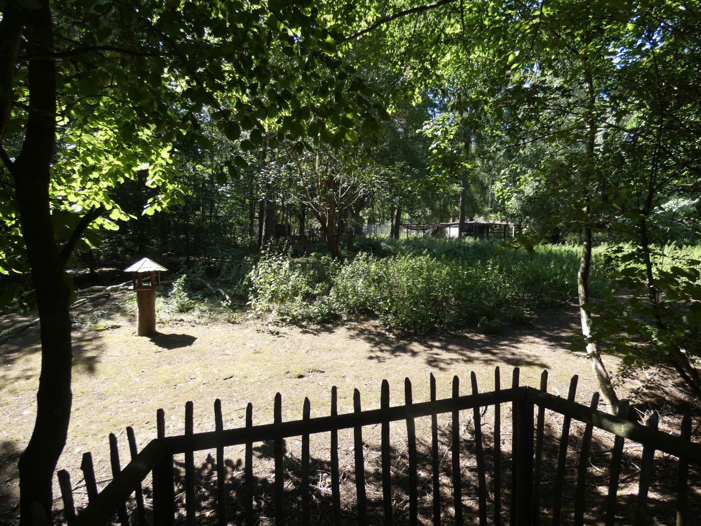 Common Crane enclosure
