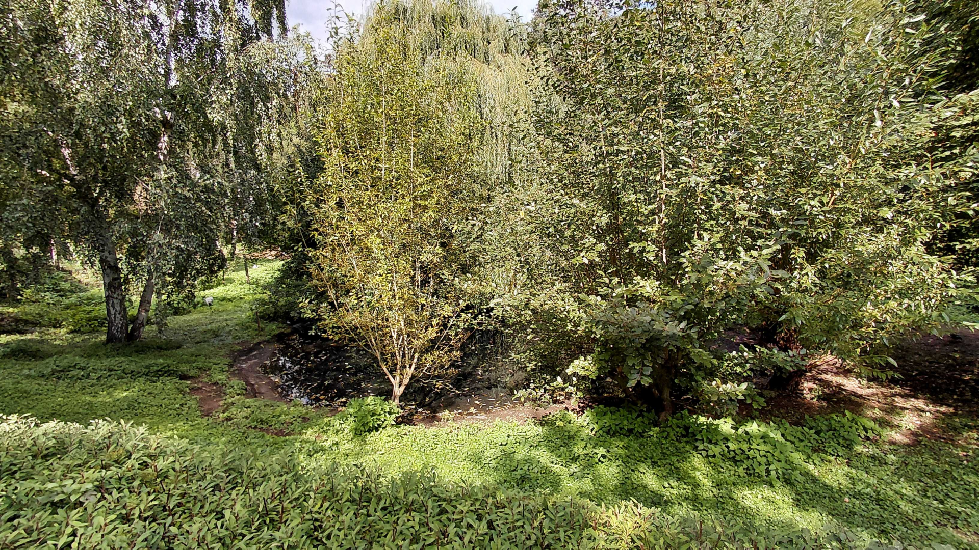 Common crane exhibit