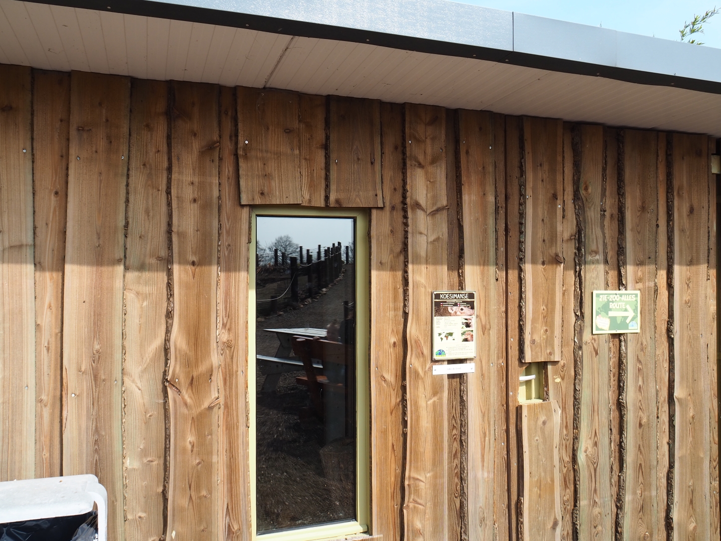 Common cusimanse house, 2019-04-06