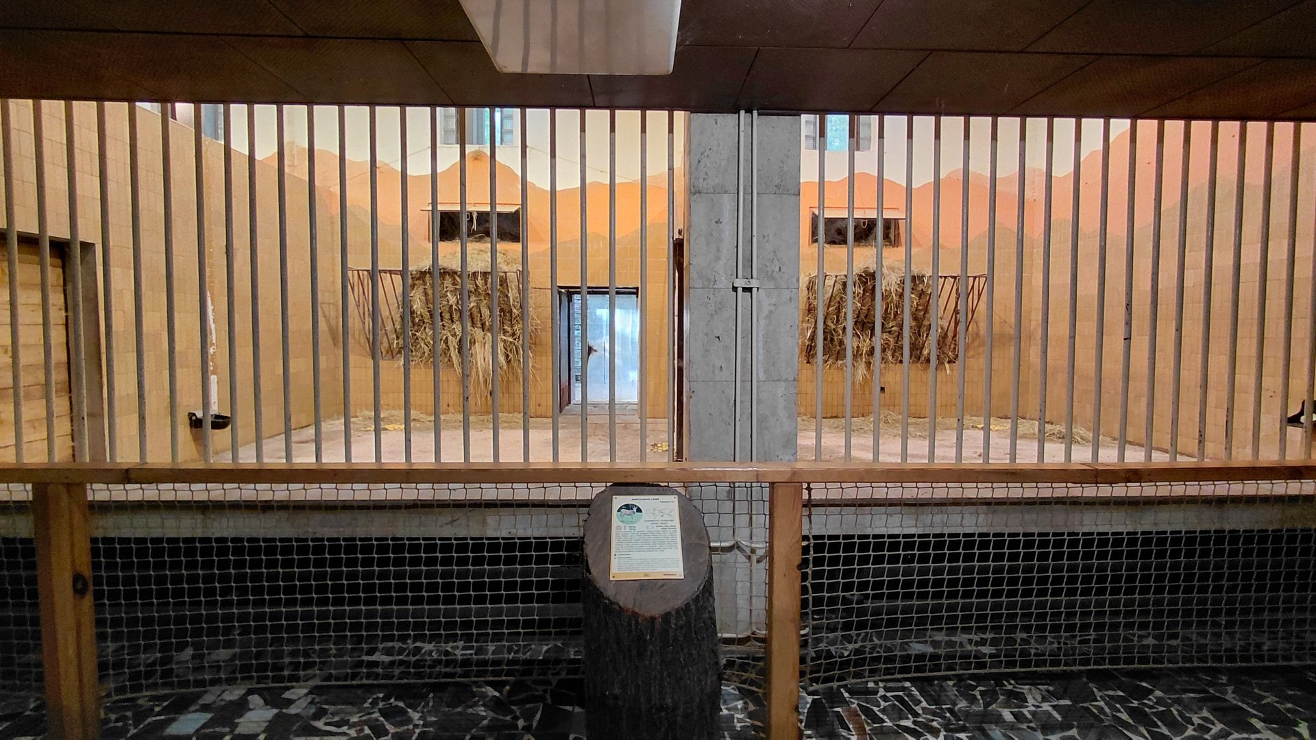 Common eland indoor exhibit