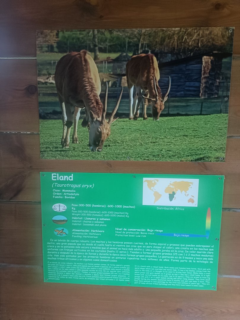 Common eland sign -Marcelle Naturaleza