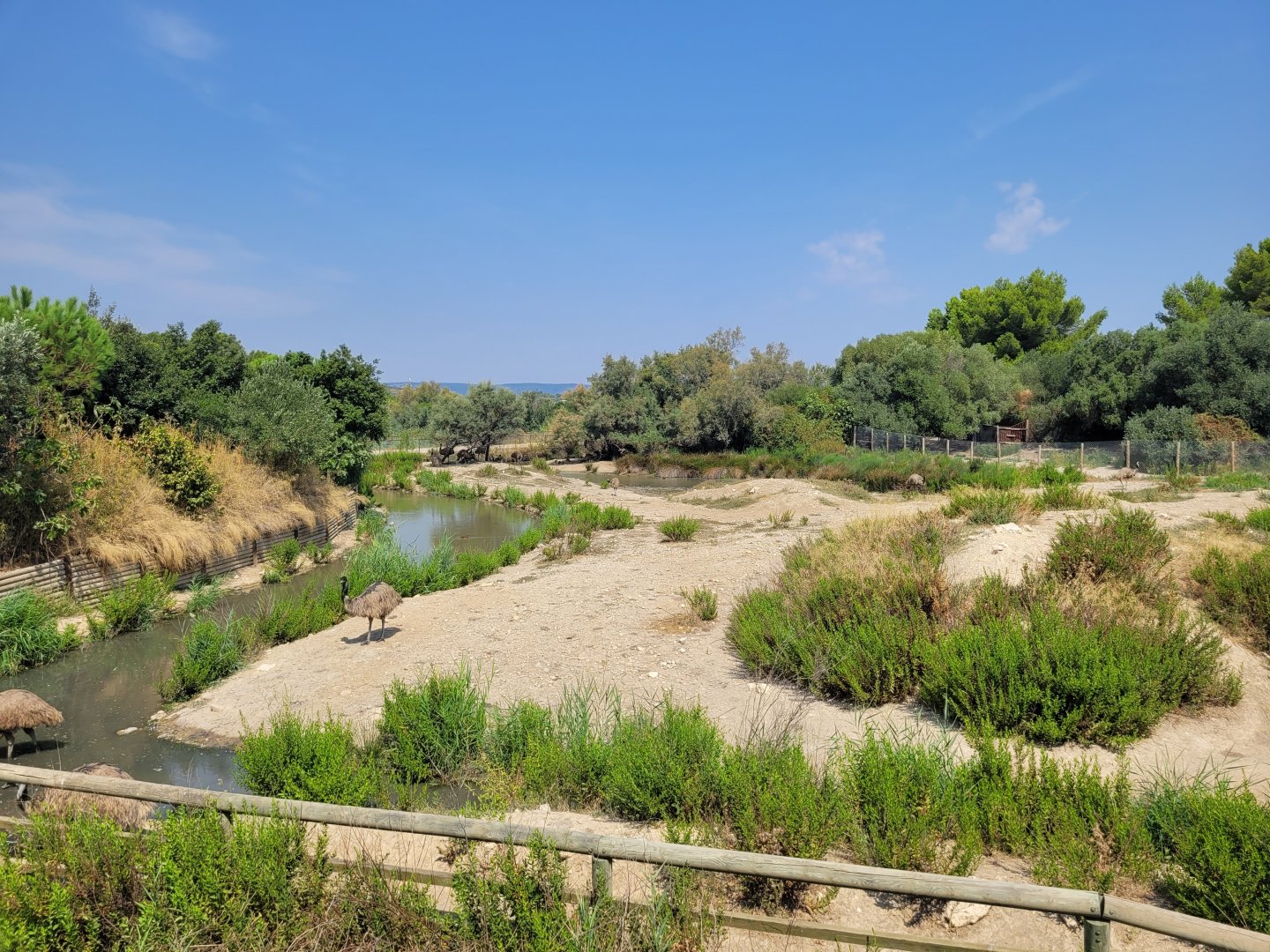 Common emu exhibit -Réserve Africaine de Sigean (2022)