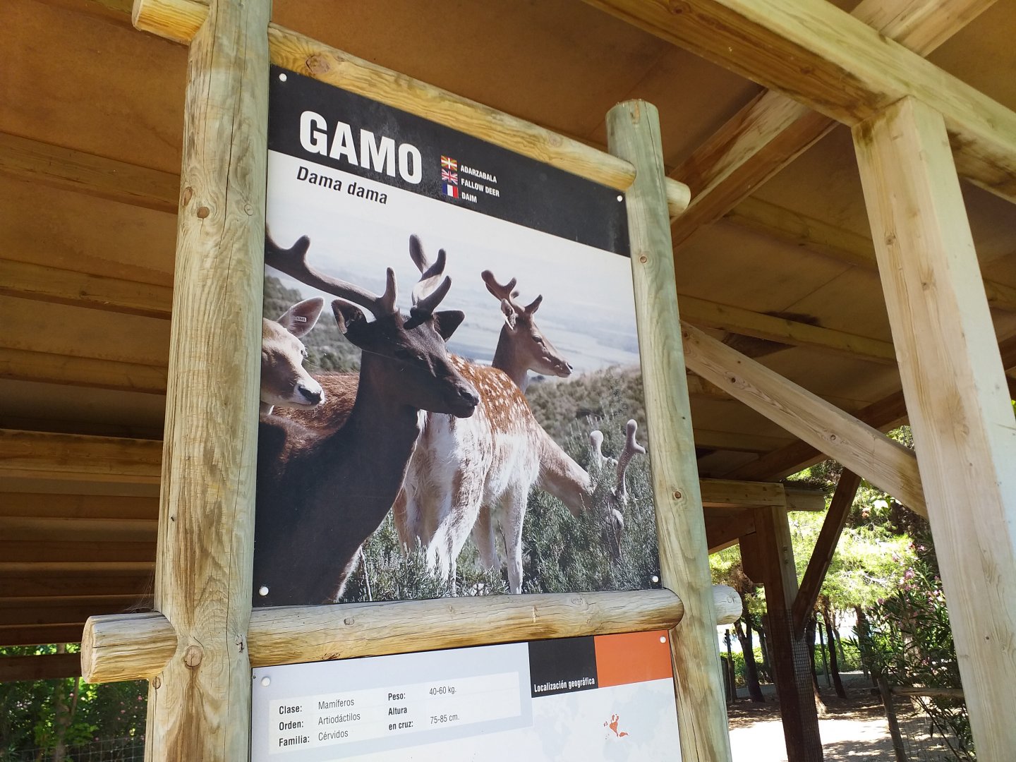 Common fallow deer sign -Sendaviva (2020)