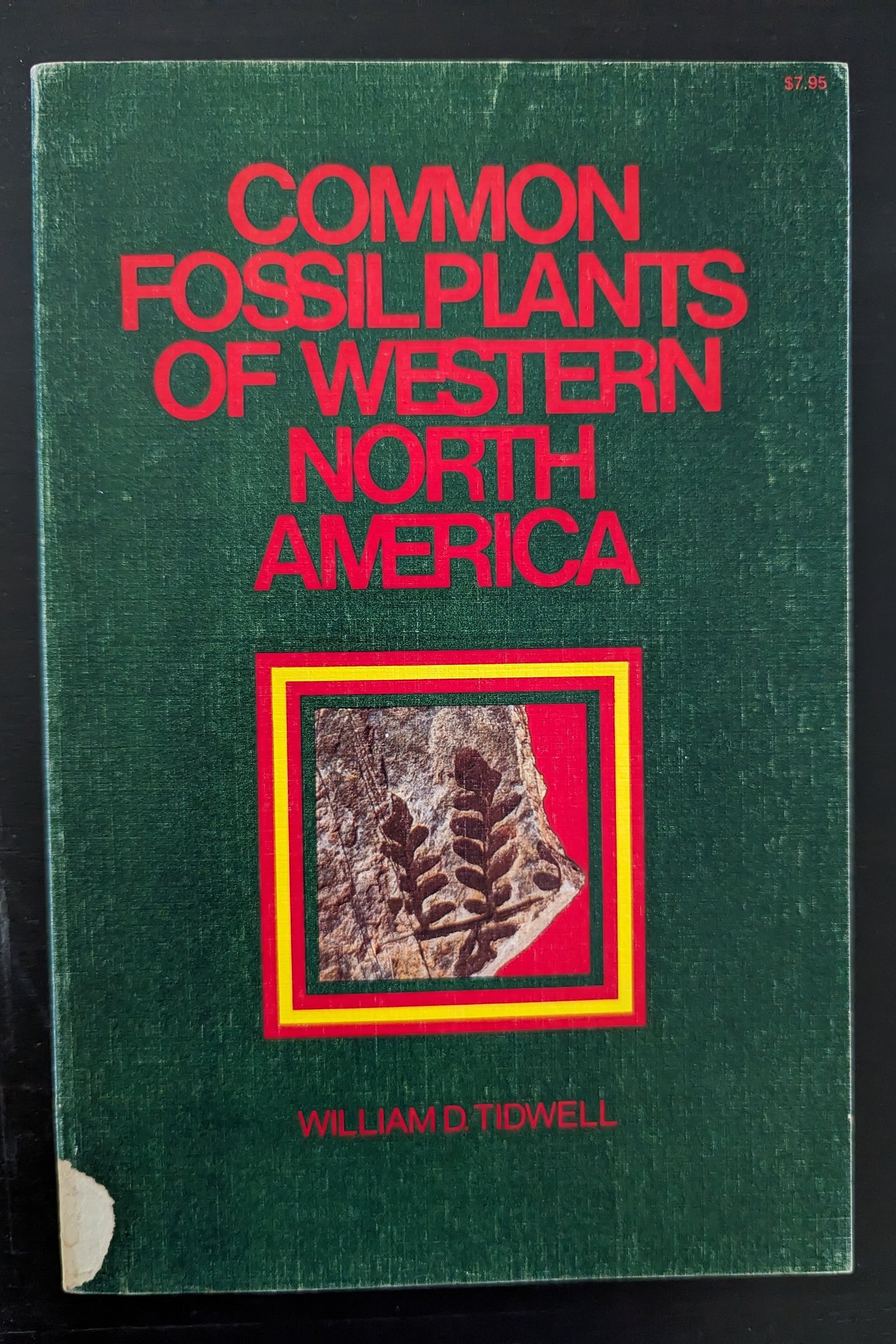 Common Fossil Plants of Western North America