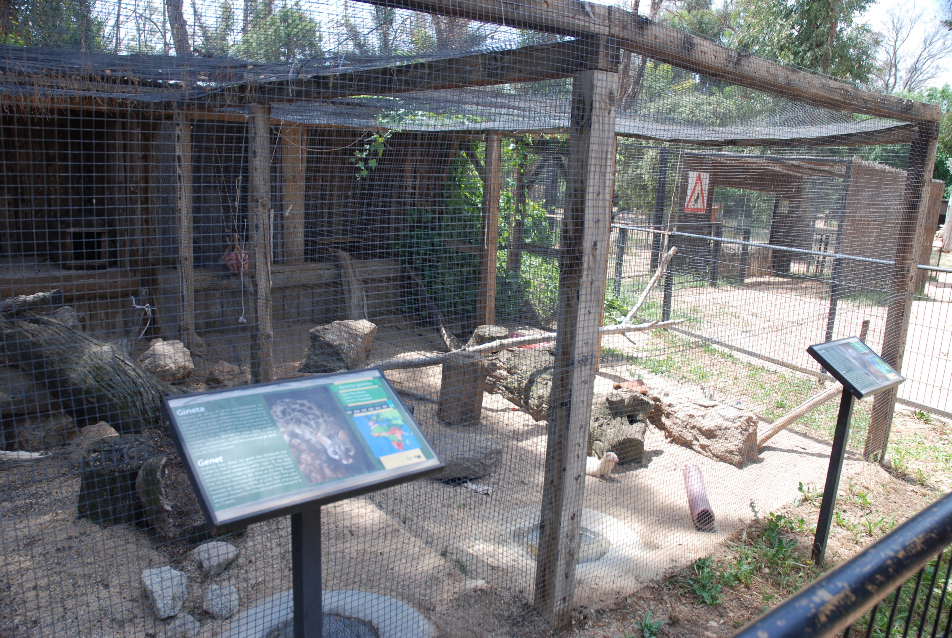 Common Genet and Ferret Enclosures at Safari Madrid, 19th May 2022