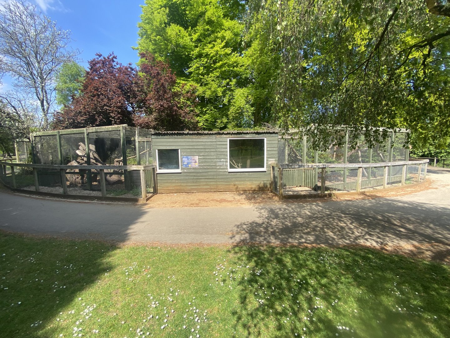 Common genet enclosure 090525