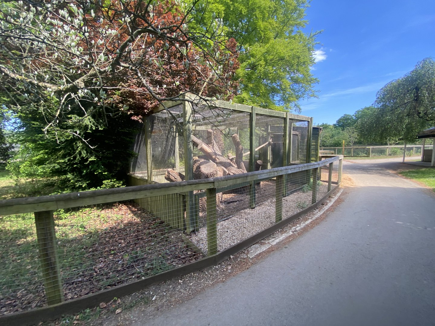 Common genet enclosure 090525