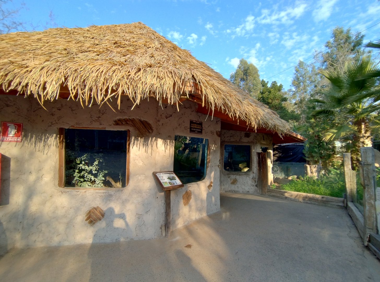 Common gennet exhibit and meerkat indoors - Buin zoo