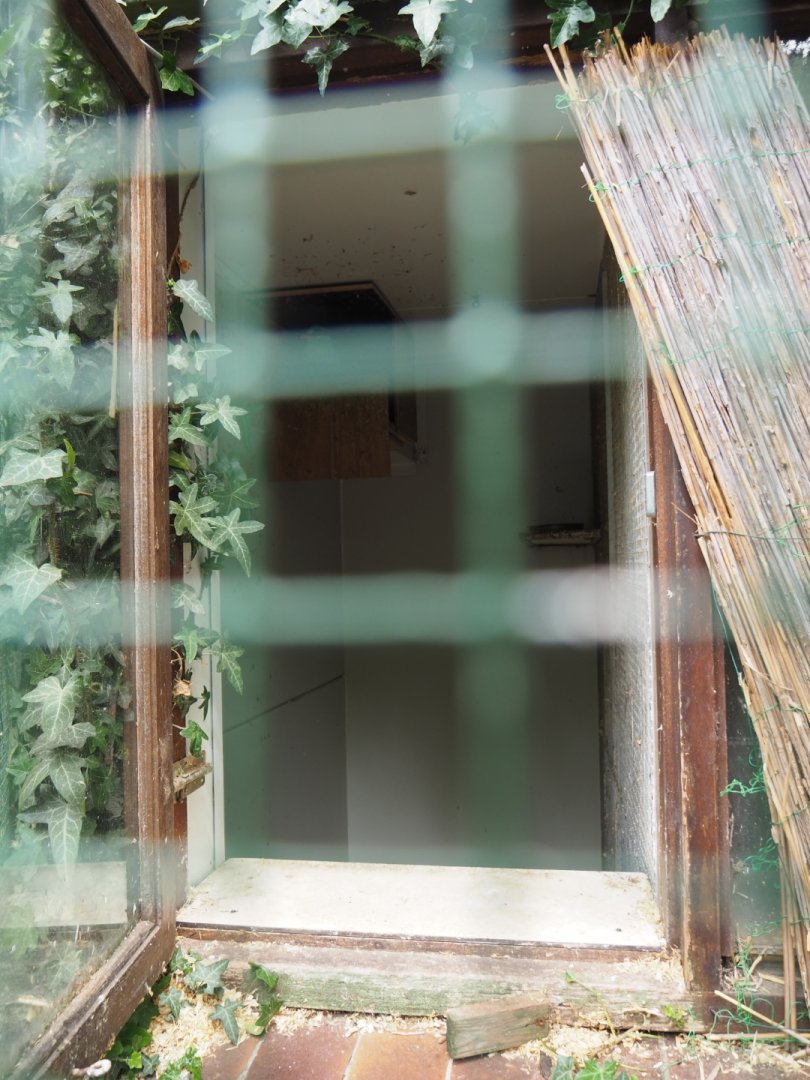 Common green magpie indoor housing, 2019-05-25