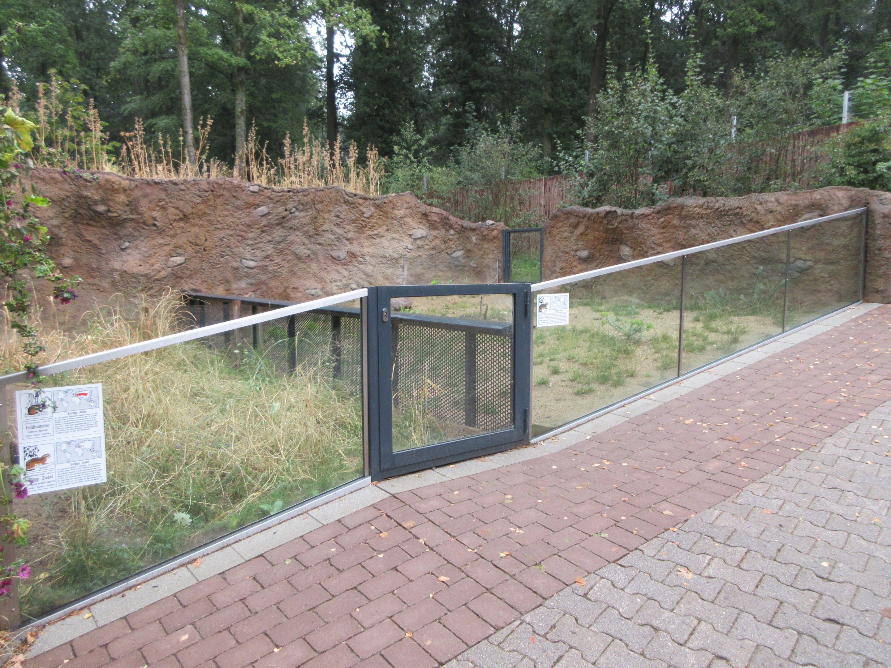 Common Hamster + European Ground Squirrel Exhibits