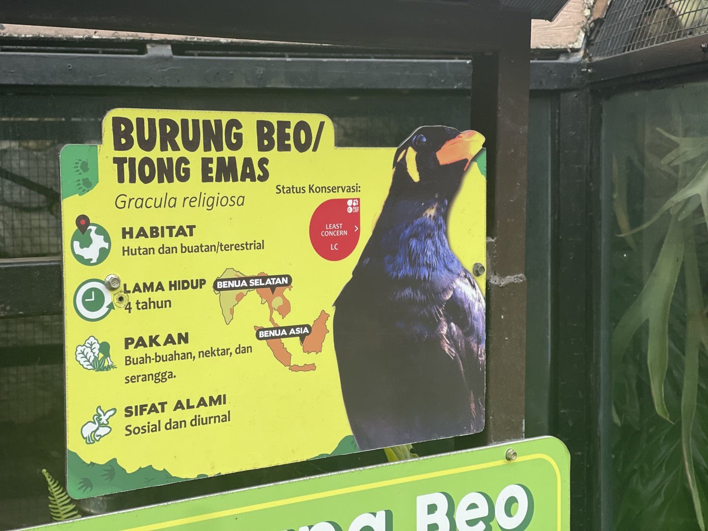 common hill myna signage