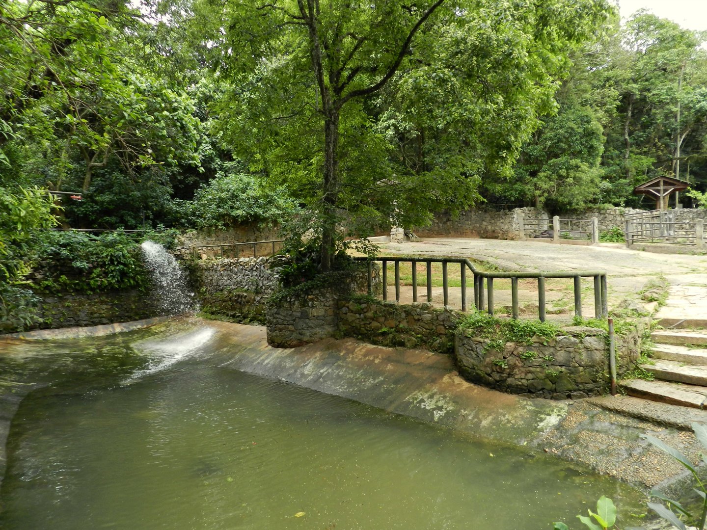 Common hipopotamus exhibit - Zoo São Paulo