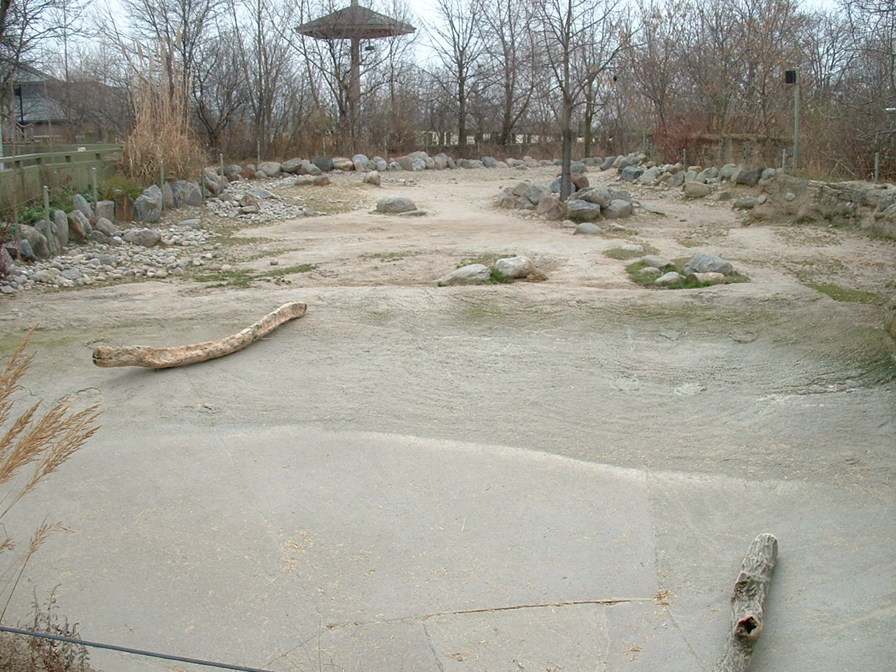 Common Hippo Enclosure - Nov 2012