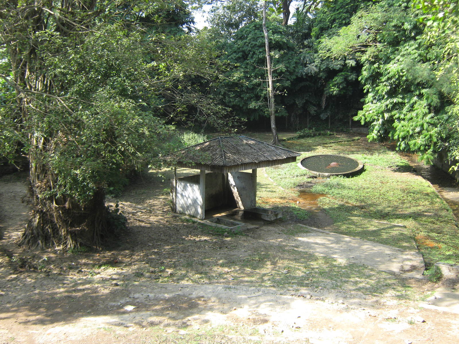 Common Hippo enclosure