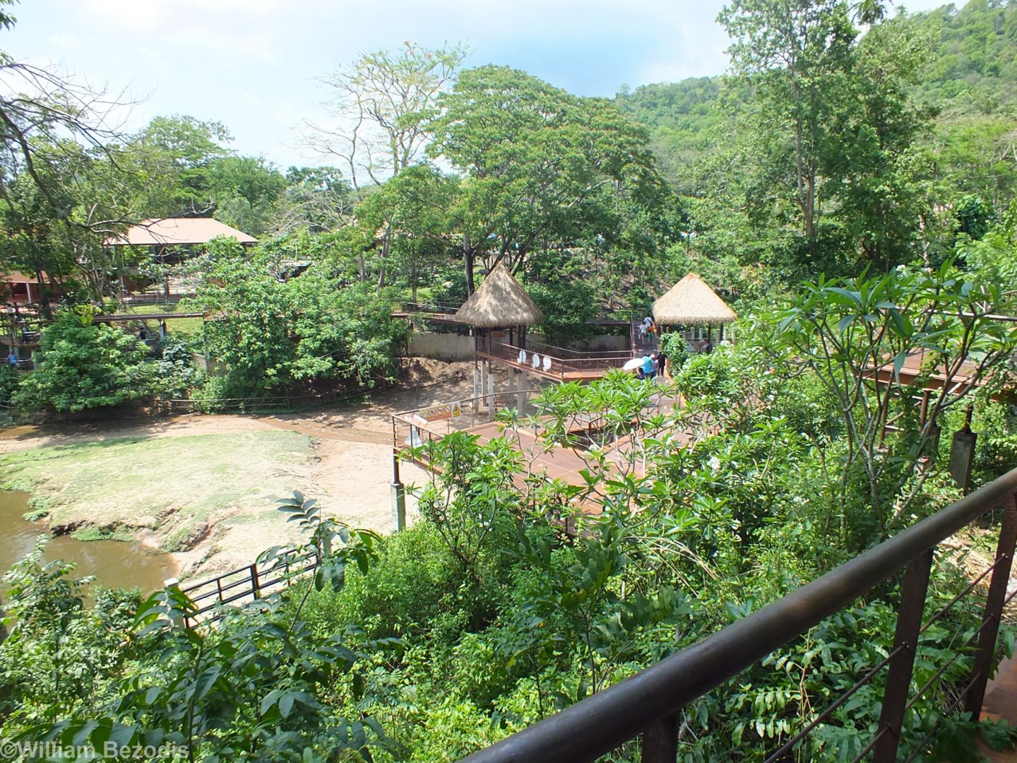 Common Hippo Enclosure