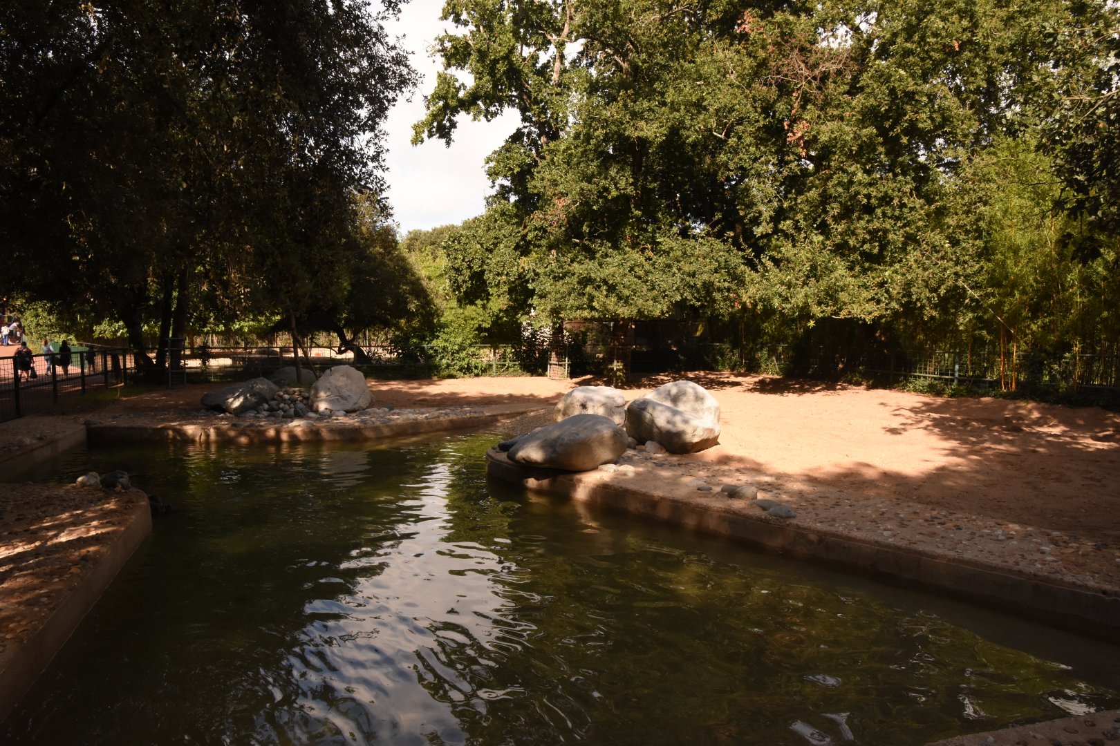 Common Hippo enclosure