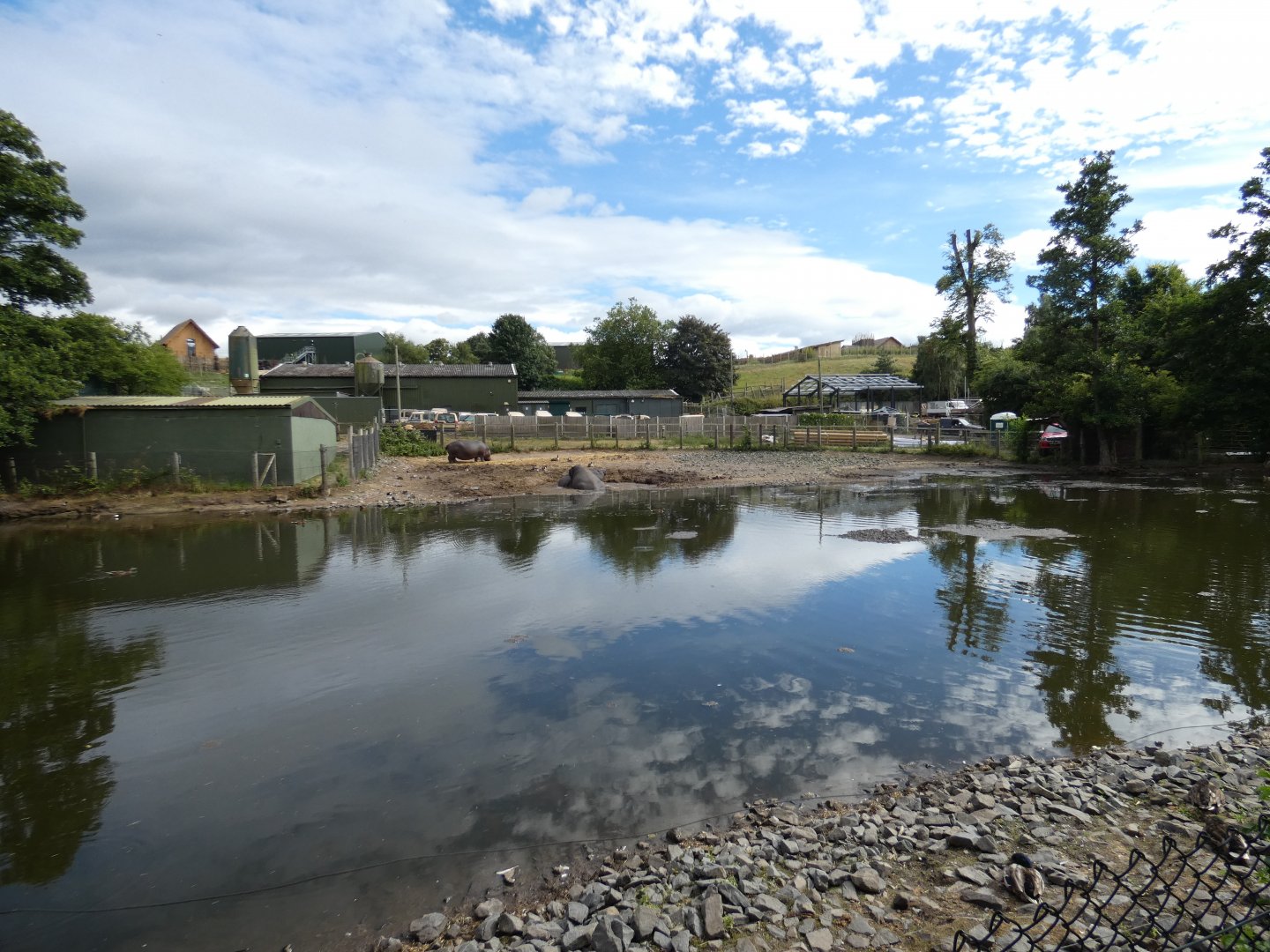 Common hippo enclosure