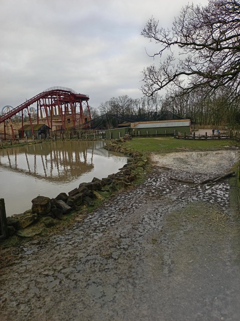 Common Hippo Enclosure