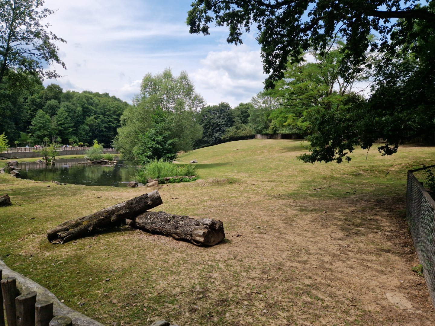Common hippo enclosure