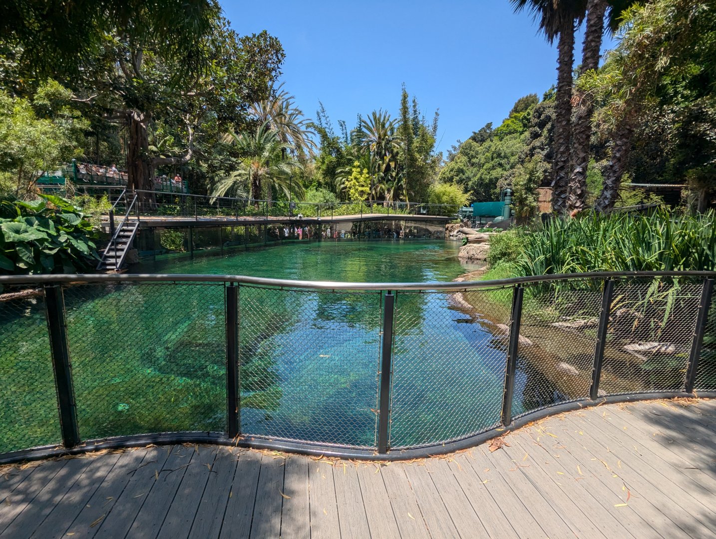 Common Hippo Enclosure
