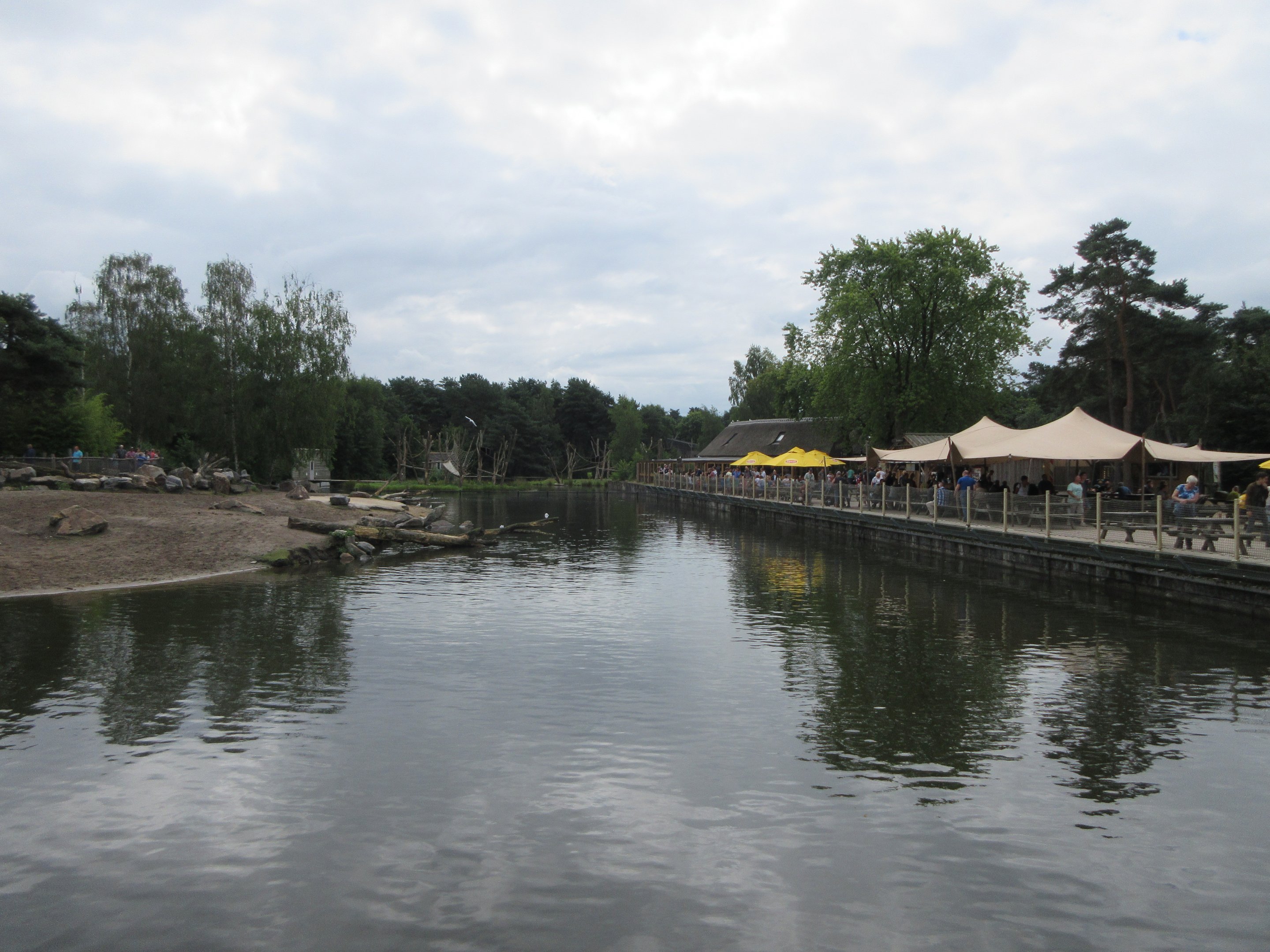 Common Hippo - enormous exhibit
